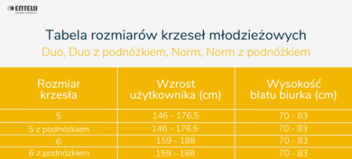 Krzesło młodzieżowe Norm biały Visto 01 rozmiar 5 - ea9bc45824c56b0caf40f8b324c50797