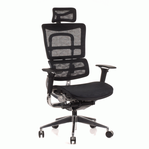 ErgoNew-S8-M-M-H-AL.gif