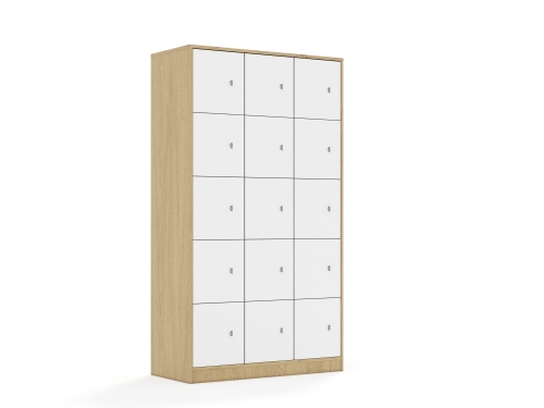 Szafa Blox Base 110 5PP 15F1 1049x466x1869 korpus dąb/15x front biały - 30b87dfa4ba29ea6758610e7baf6da47