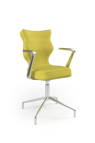 ii-wa-m-wa-m-6-c-d-dc19-Krzeslo_konferencyjne_BURANO-Plus_Rozmiar_6_Chrom_Deco-19_perspektywa.jpg