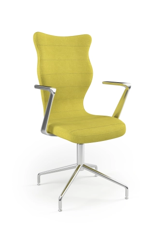 ii-wa-m-wa-m-7-c-d-dc19-Krzeslo_konferencyjne_BURANO-Plus_Rozmiar_7_Chrom_Deco-19_perspektywa.jpg
